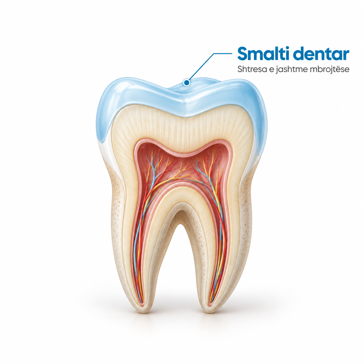 smalti dentar